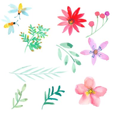 Suluboya el boyalı gül çiçek