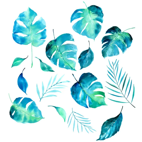 水彩手绘热带树叶 — 图库照片