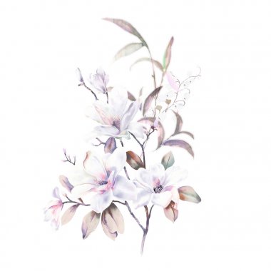 Suluboya Manolya çiçek koleksiyonu