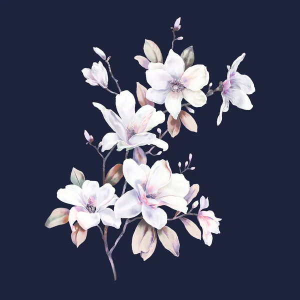 Acquerello Magnolia Collezione Fiori — Foto Stock