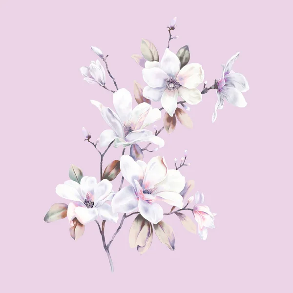 Acuarela Magnolia Colección Flores —  Fotos de Stock