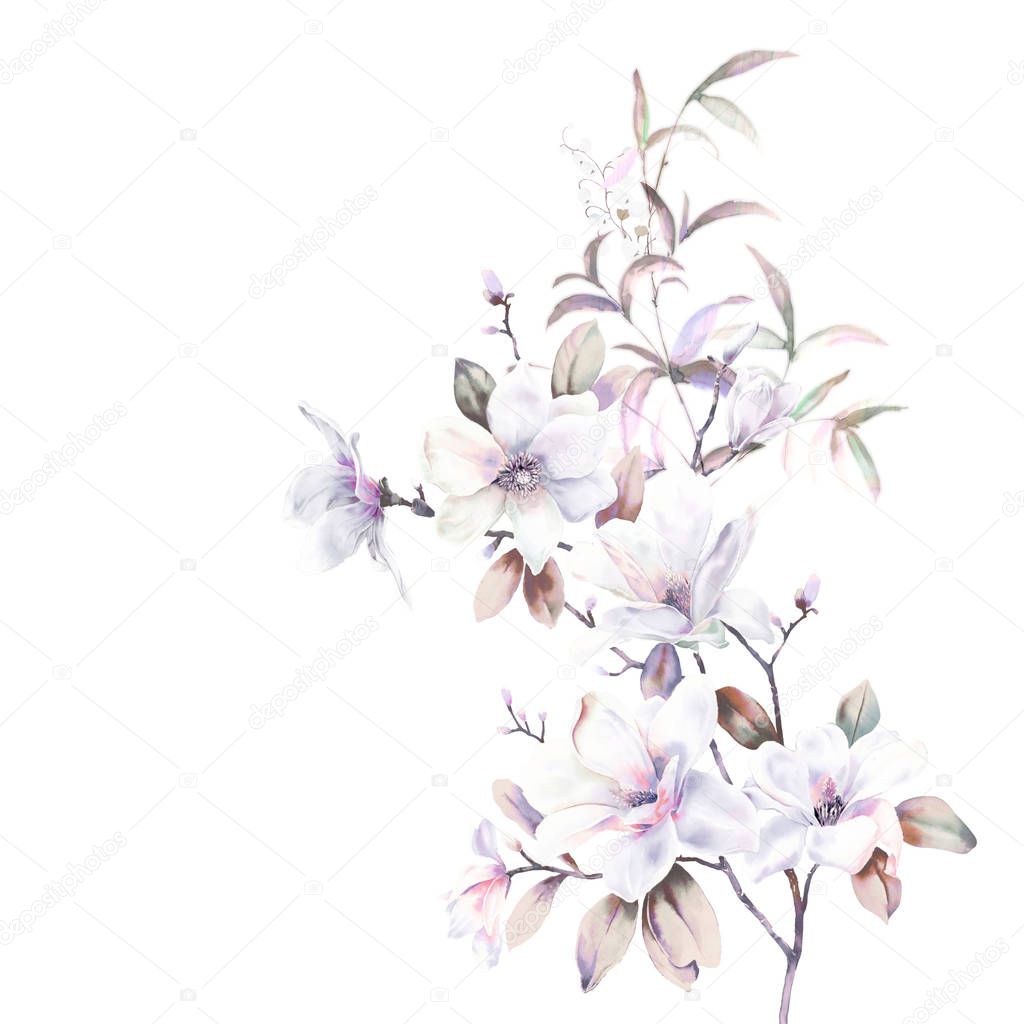 Watercolor magnolia flower collection