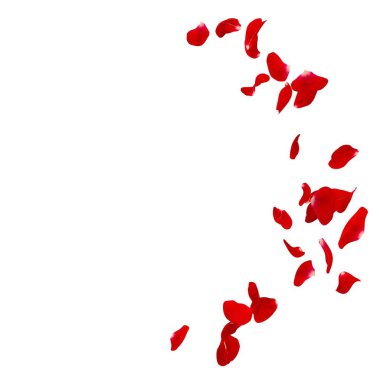 Bir yarım daire yerde dağınık kırmızı gül yaprakları