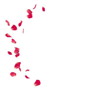 Bir yarım daire yerde dağınık pembe gül yaprakları