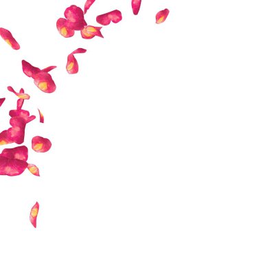 Bir yarım daire yerde dağınık kırmızı gül yaprakları