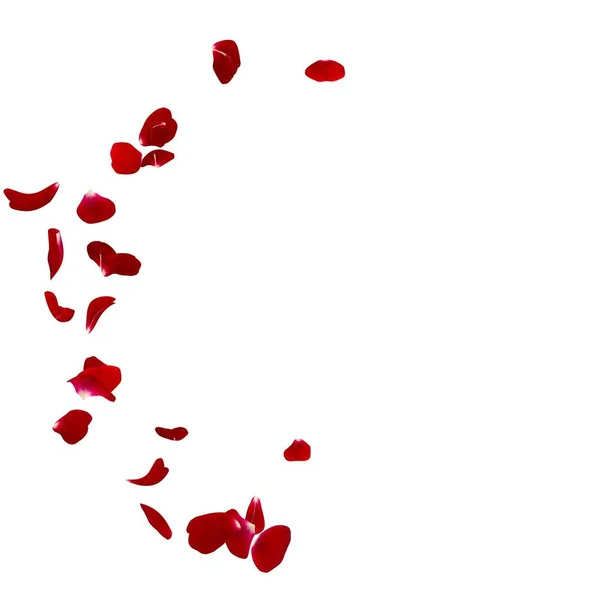 Rode rozenblaadjes verspreid over de vloer in een halve cirkel — Stockfoto