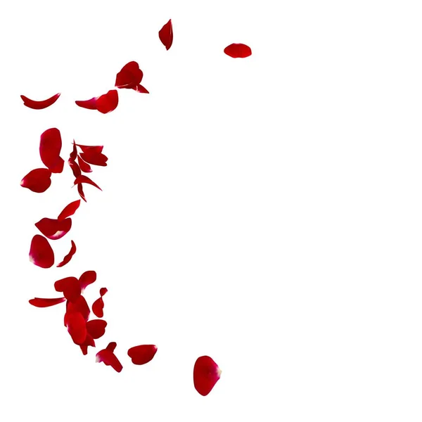 Rote Rosenblätter im Halbkreis auf dem Boden verstreut — Stockfoto
