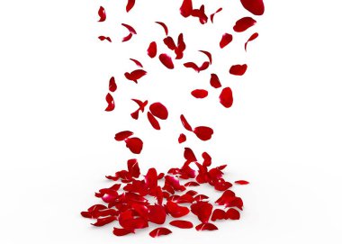 Gül yaprakları yere düşmek