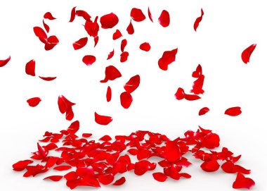 Gül yaprakları yere düşmek