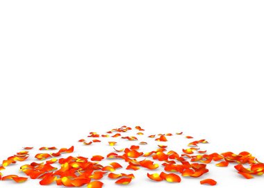 Turuncu gül yaprakları yere dağılmış