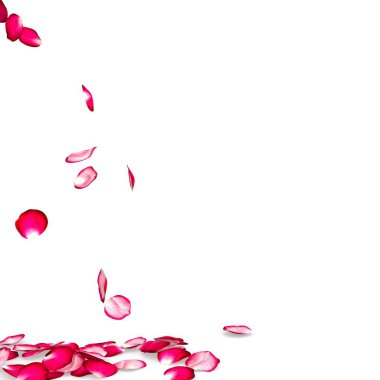 Gül yaprakları yere düşmek