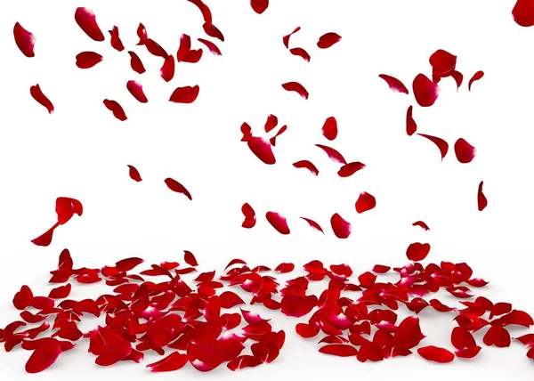 玫瑰花瓣掉在地上 — 图库照片