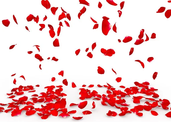 Rose petals fall to the floor — Stock Photo, Image