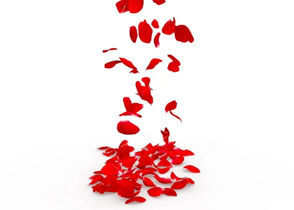 Rose petals fall to the floor — Stock Photo, Image