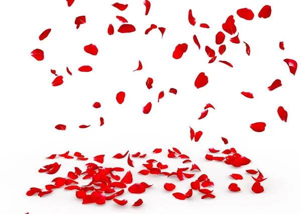 Rose petals fall to the floor — Stock Photo, Image