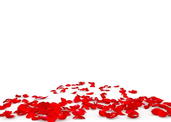 Okvětní lístky červené růže roztroušené po podlaze — Stock fotografie