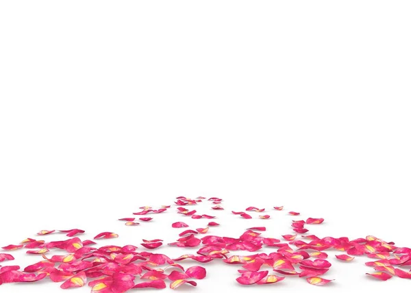 Pétalas de rosa vermelhas espalhadas no chão — Fotografia de Stock