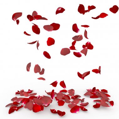 Gül yaprakları yere düşmek