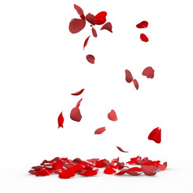 Gül yaprakları yere düşmek