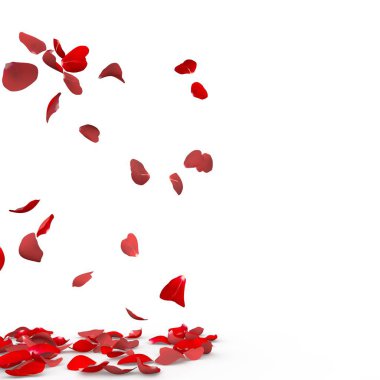 Gül yaprakları yere düşmek