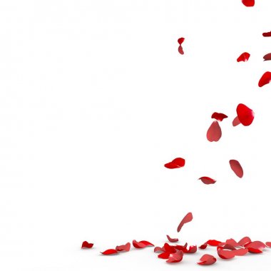 Gül yaprakları yere düşmek