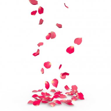 Gül yaprakları yere düşmek