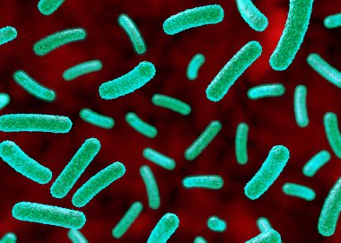 Vücuttaki bakteri çizimi