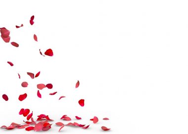 Gül yaprakları yere düşmek