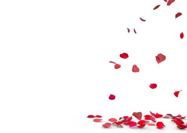 Gül yaprakları yere düşmek