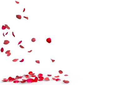 Gül yaprakları yere düşmek