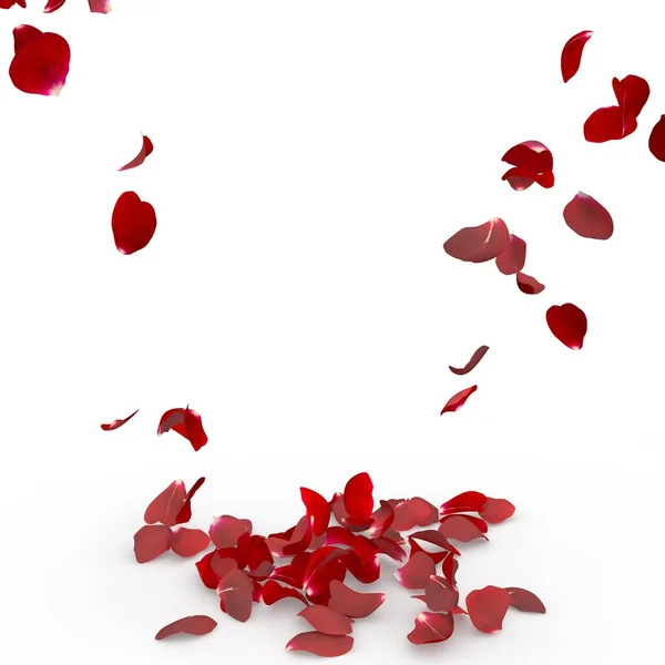 Rose petals fall to the floor — Stock Photo, Image