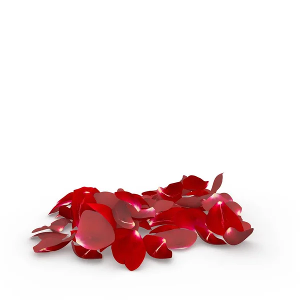 Rosenblätter fallen zu Boden — Stockfoto