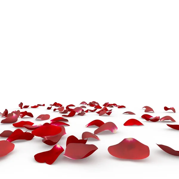 Scattered Red Roses Petals On White Stock Photo 135954065