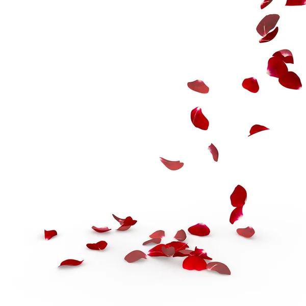 Rose petals fall to the floor — Stock Photo, Image