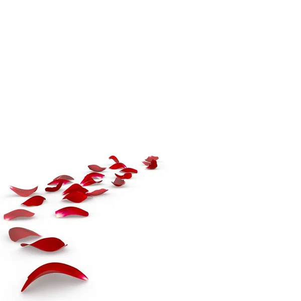Růží spadnout na zem — Stock fotografie