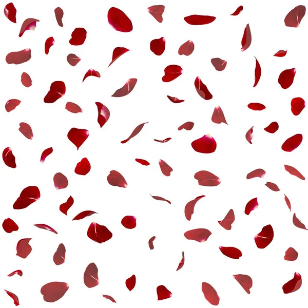 Nahtlose Textur roter Rosenblätter — Stockfoto