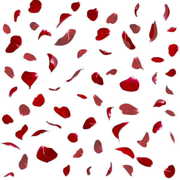 Seamless texture of red rose petals — Stock Photo, Image