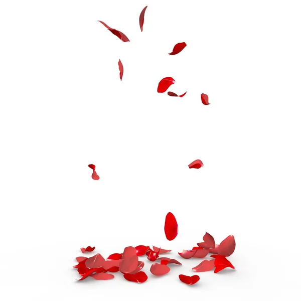 Rose petals fall to the floor — Stock Photo, Image