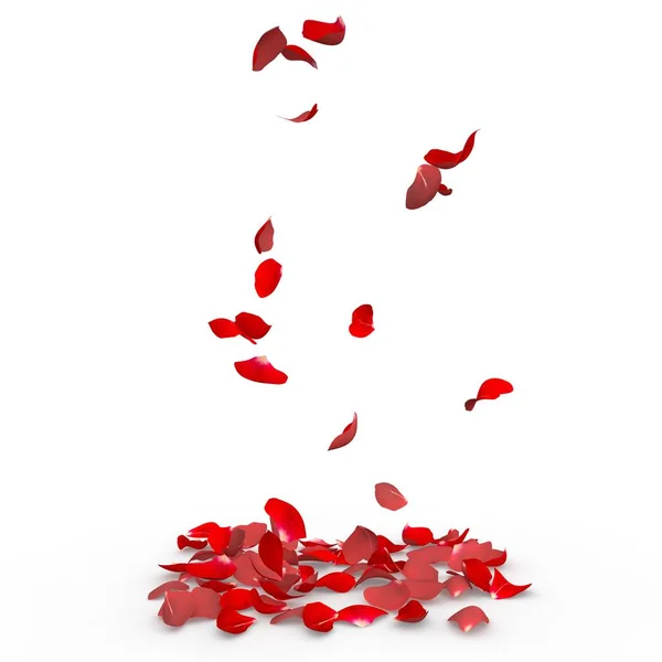 Rose petals fall to the floor — Stock Photo, Image