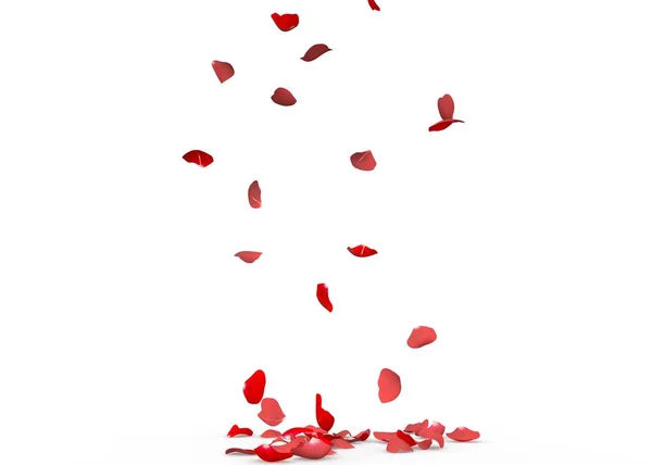 Rose petals fall to the floor — Stock Photo, Image