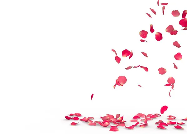 Růží spadnout na zem — Stock fotografie