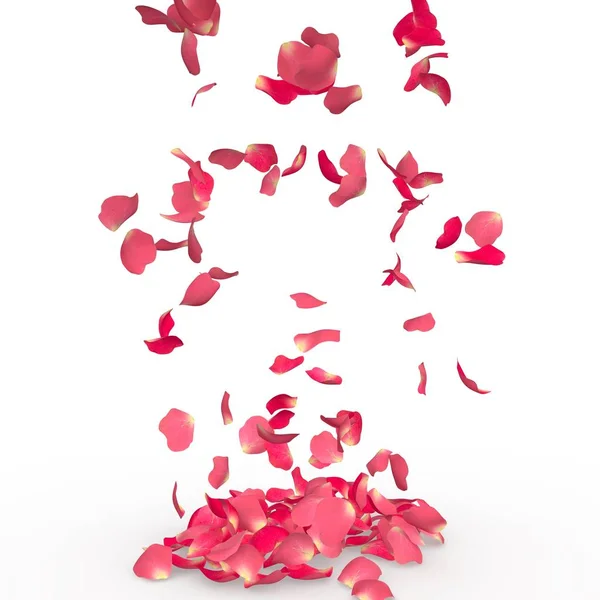 Rose petals fall to the floor — Stock Photo, Image