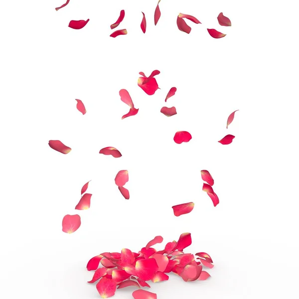 Rose petals fall to the floor — Stock Photo, Image