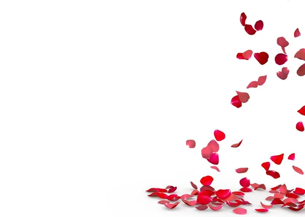 Rose petals fall to the floor — Stock Photo, Image