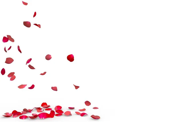 Rose petals fall to the floor — Stock Photo, Image