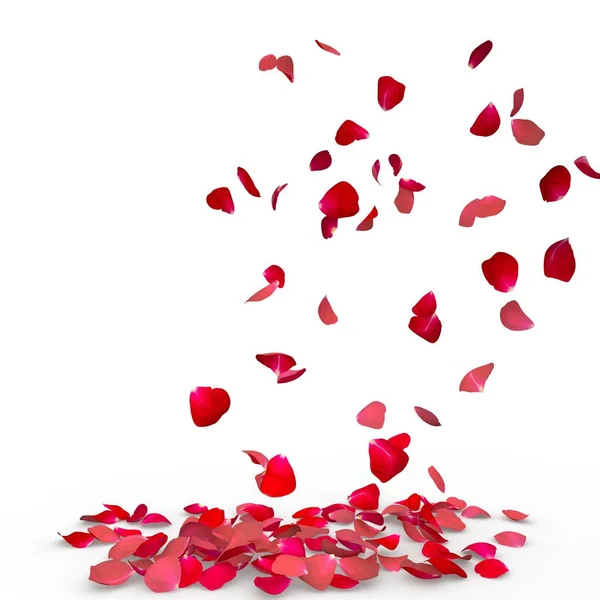 Rose petals fall to the floor — Stock Photo, Image