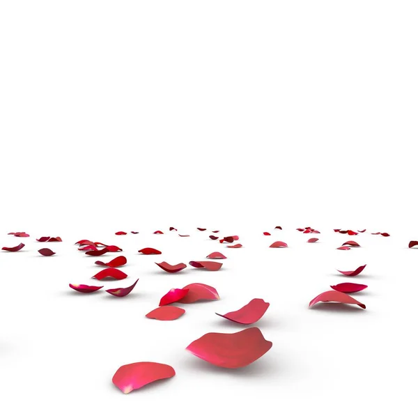 Petali di rosa cadono a terra — Foto Stock
