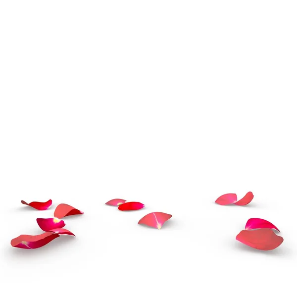 Rozenblaadjes vallen op de vloer — Stockfoto