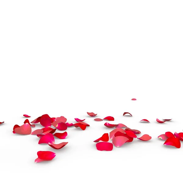 Pétales de rose tombent au sol — Photo
