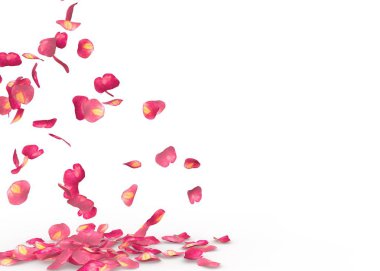 Gül yaprakları yere düşmek